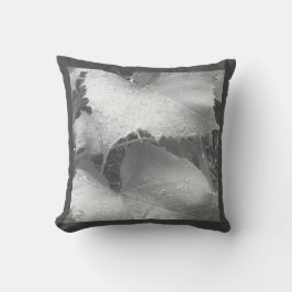 Zwart-wit foto van natte en dewy druivenbladeren kussen