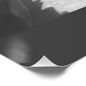 Zwart-wit foto van natte en dewy druivenbladeren perfect poster (Hoek)