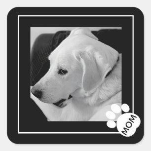 Zwart-wit foto van Schattige Dog Mom Paw Vierkante Sticker
