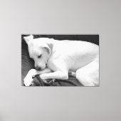 Zwart-wit foto van Schattige Dog Slapen Canvas Afdruk (Voorkant)