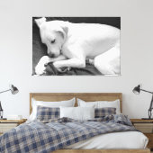 Zwart-wit foto van Schattige Dog Slapen Canvas Afdruk (Insitu (Slaapkamer))