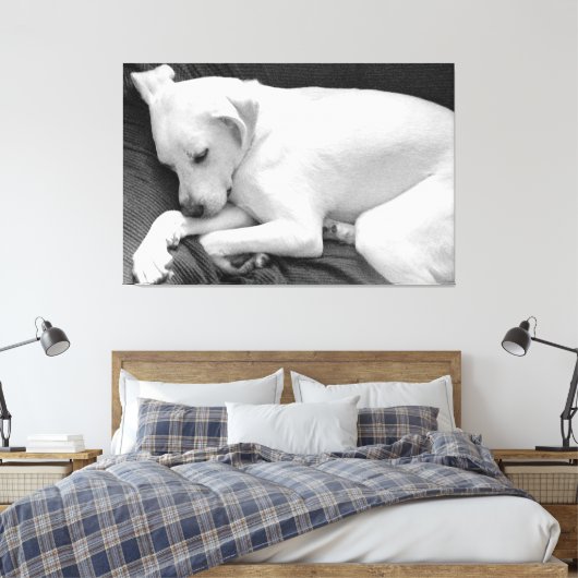 Zwart-wit foto van Schattige Dog Slapen Canvas Afdruk (Insitu (Slaapkamer))