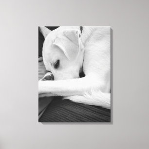 Zwart-wit foto van Schattigee hond rusten met papa Canvas Afdruk