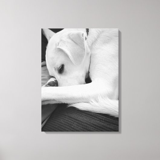 Zwart-wit foto van Schattigee hond rusten met papa Canvas Afdruk (Voorkant)