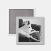 Zwart-wit foto van Talking Dog Grey Magneet (Voorkant / Achterkant)