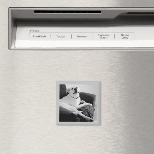 Zwart-wit foto van Talking Dog Grey Magneet (Insitu (Vaatwasser))