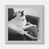 Zwart-wit foto van Talking Dog Grey Magneet (Voorkant)