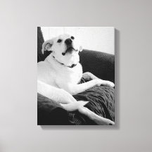 Zwart-wit foto van Talking Dog Print
