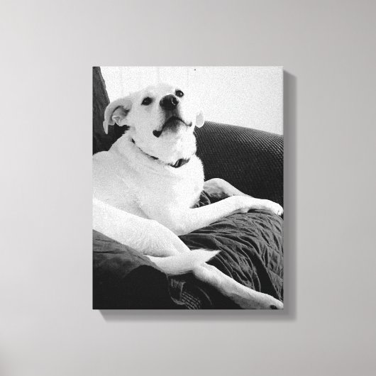 Zwart-wit foto van Talking Dog Print (Voorkant)