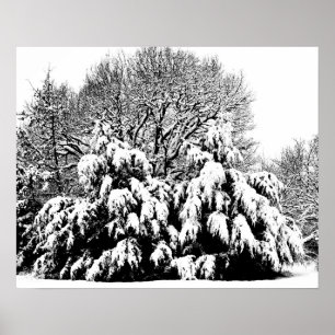 Zwart-wit Fotografische Kunst Sneeuw Bomen Poster