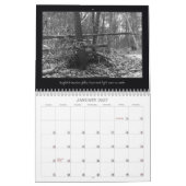 Zwart-wit foto's Dieren Landschapsvogel Kalender (Jan 2027)