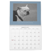 Zwart-wit foto's Dieren Landschapsvogel Kalender (Mar 2017)