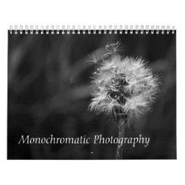 Zwart-wit foto's Dieren Landschapsvogel Kalender