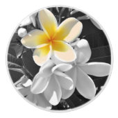 Zwart wit Frangipanis met één gele Frangipani Keramische Knop (Voorkant)