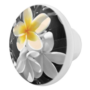 Zwart wit Frangipanis met één gele Frangipani Keramische Knop