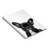 Zwart-wit, Frans Bulldog-portret Notitieboek (Rechterzijde)