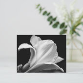 Zwart-wit Freesia Briefkaart (Staand voorkant)