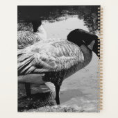 Zwart-wit Ganzen Quiet Moment aan het Meer Planner (Achterkant)