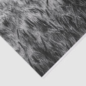 Zwart-wit gebied van tarwe tissuepapier (Detail)