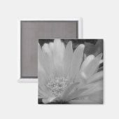 Zwart & Wit Gerber Daisy Magnet (Voorkant / Achterkant)