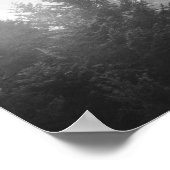 Zwart-wit gespiegeld bos poster (Hoek)