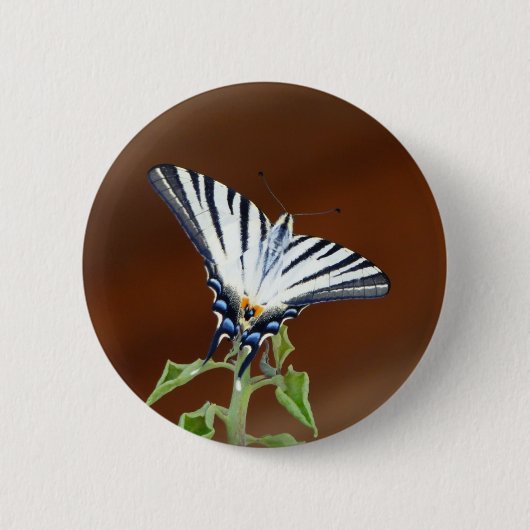 Zwart-wit gestreepte Fantailvlinder Ronde Button 5,7 Cm (Voorkant)