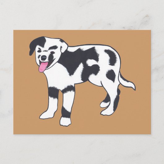 Zwart-wit gevlekte Briefkaarten (Voorkant)