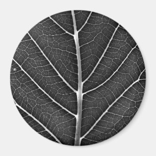 Zwart-Wit Glanzend Blad Close-Up Magneet