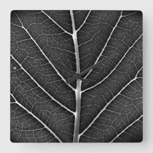 Zwart-Wit Glanzend Blad Close-Up Vierkante Klok