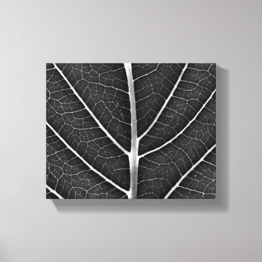 Zwart-wit gloeiend blad close-up canvas afdruk (Voorkant)