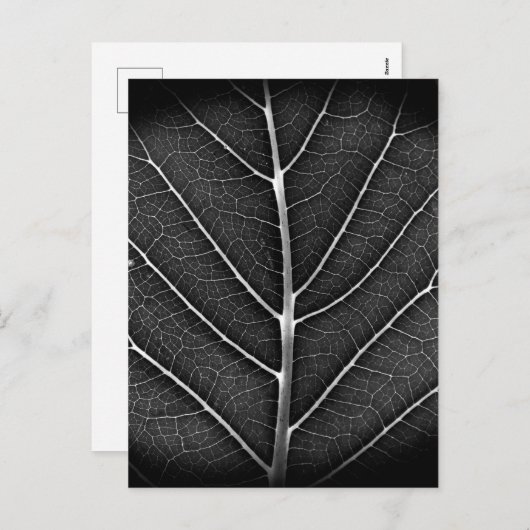 Zwart-wit gloeiend blad close-up feestdagenkaart (Voorkant / Achterkant)