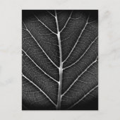 Zwart-wit gloeiend blad close-up feestdagenkaart (Voorkant)