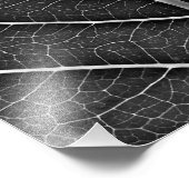Zwart-wit gloeiend blad close-up foto afdruk (Hoek)