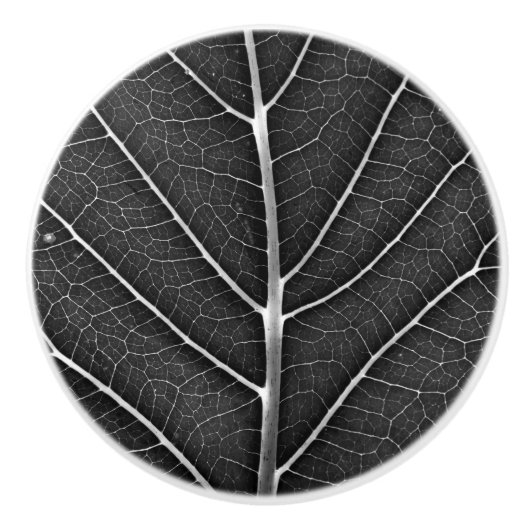 Zwart-wit gloeiend blad close-up keramische knop (Voorkant)