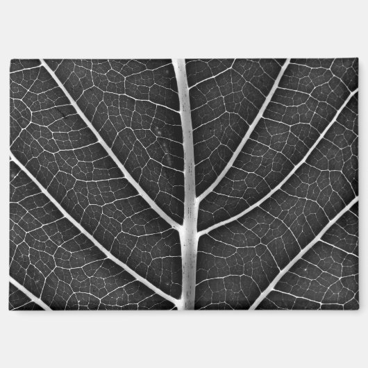 Zwart-wit gloeiend blad close-up magneet (Voorkant)