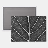 Zwart-wit gloeiend blad close-up magneet (Voorkant / Achterkant)