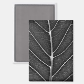 Zwart-wit gloeiend blad close-up magneet (Voorkant / Achterkant)