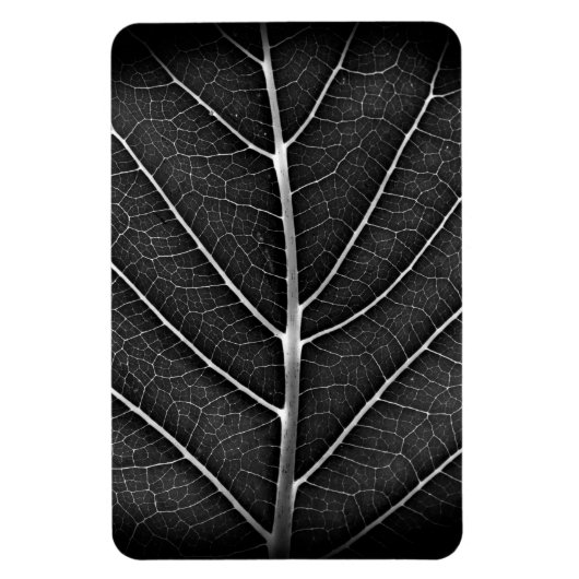Zwart-wit gloeiend blad close-up magneet (Verticaal)