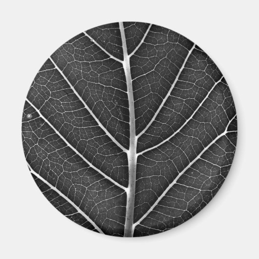 Zwart-wit gloeiend blad close-up magneet (Voorkant)