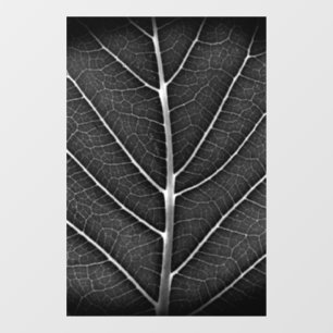 Zwart-wit gloeiend blad close-up raamsticker