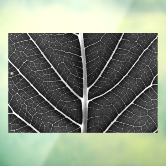 Zwart-wit gloeiend blad close-up raamsticker (Vel 3)