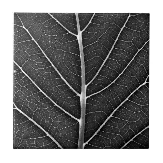 Zwart-wit gloeiend blad close-up tegeltje (Voorkant)