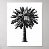 Zwart wit gotisch Poster met horrorpalm (Voorkant)