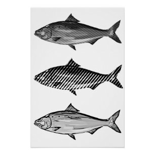Zwart-wit grafische vis perfect poster