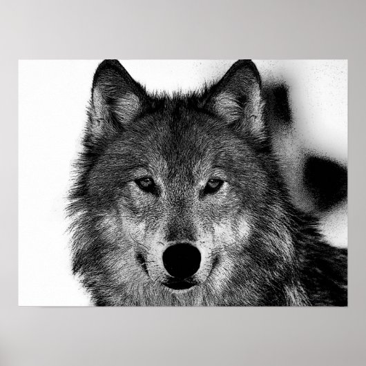 Zwart-wit grijs Wolf-kunstwerk Poster (Voorkant)
