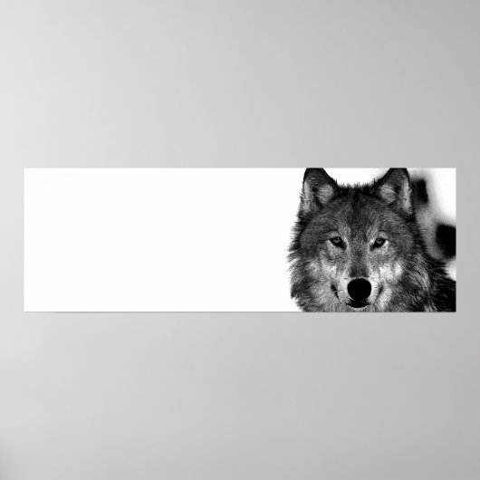 Zwart-wit grijs Wolf-kunstwerk Poster (Voorkant)