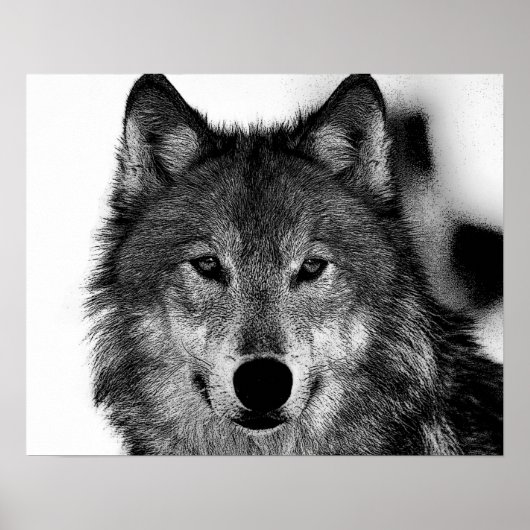 Zwart & Wit Grijze Wolf Kunstwerk Poster (Voorkant)