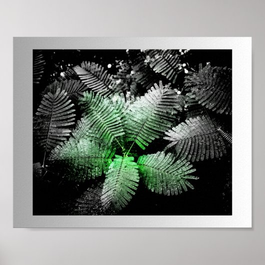Zwart Wit Groen Tropische Printable Kunst Poster (Voorkant)