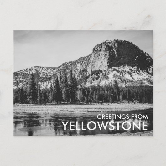 Zwart & Wit Groeten van Yellowstone Briefkaart (Voorkant)