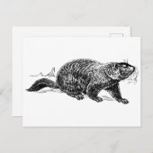 zwart-wit grondhog briefkaart (Voorkant / Achterkant)